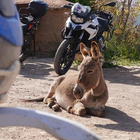 ホテル Kasbah Timdaf ドゥムナット エクステリア 写真