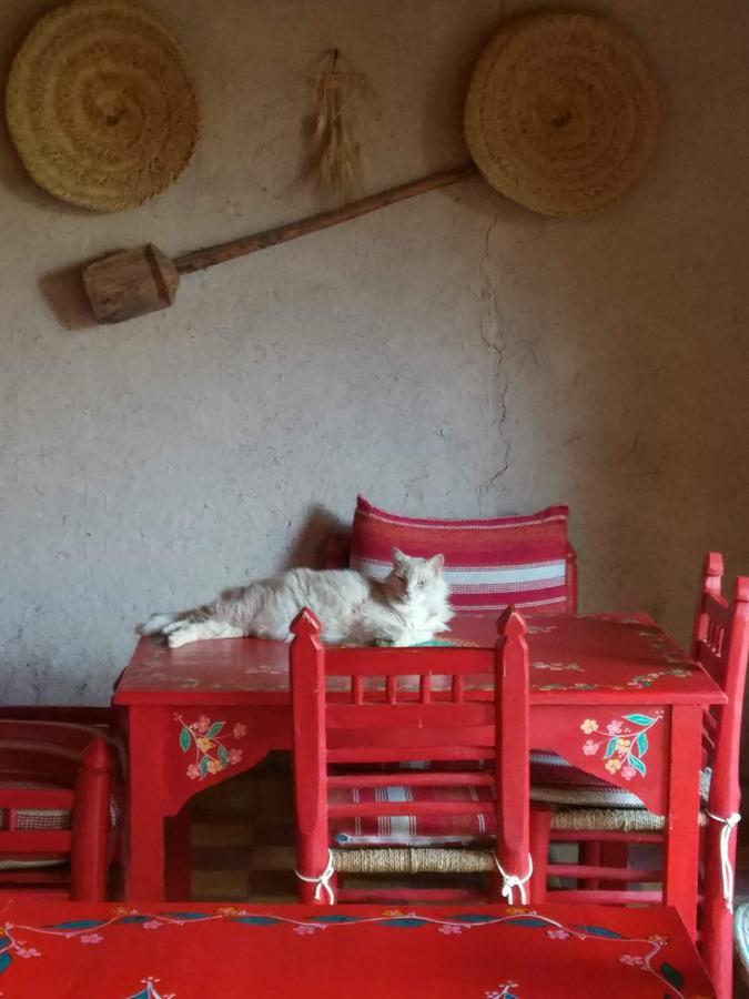 ホテル Kasbah Timdaf ドゥムナット エクステリア 写真